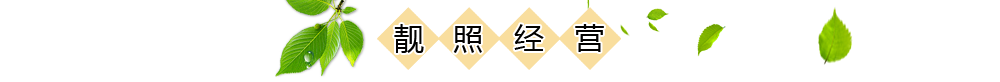 營(yíng)業(yè)執(zhí)照